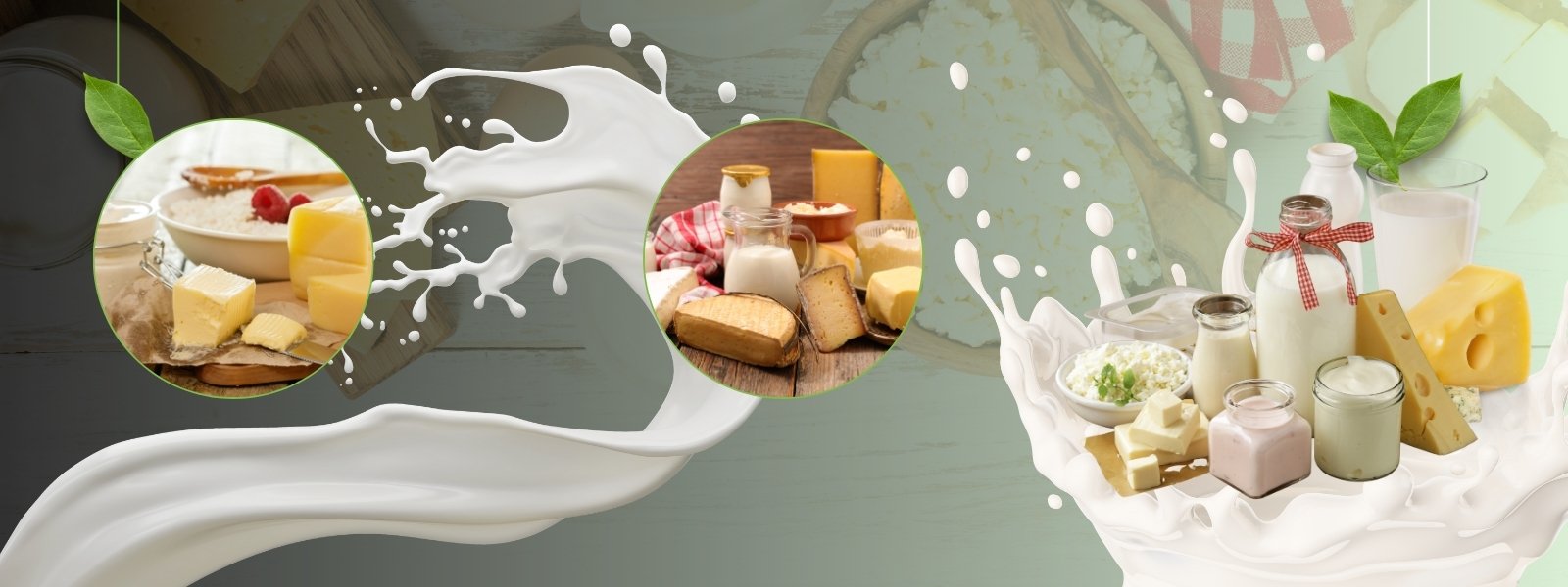 Dairy Product - header-002