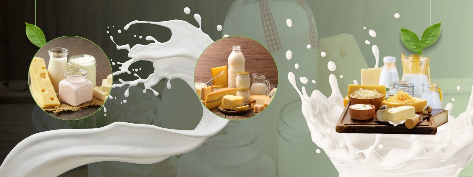 Dairy Product - header-01