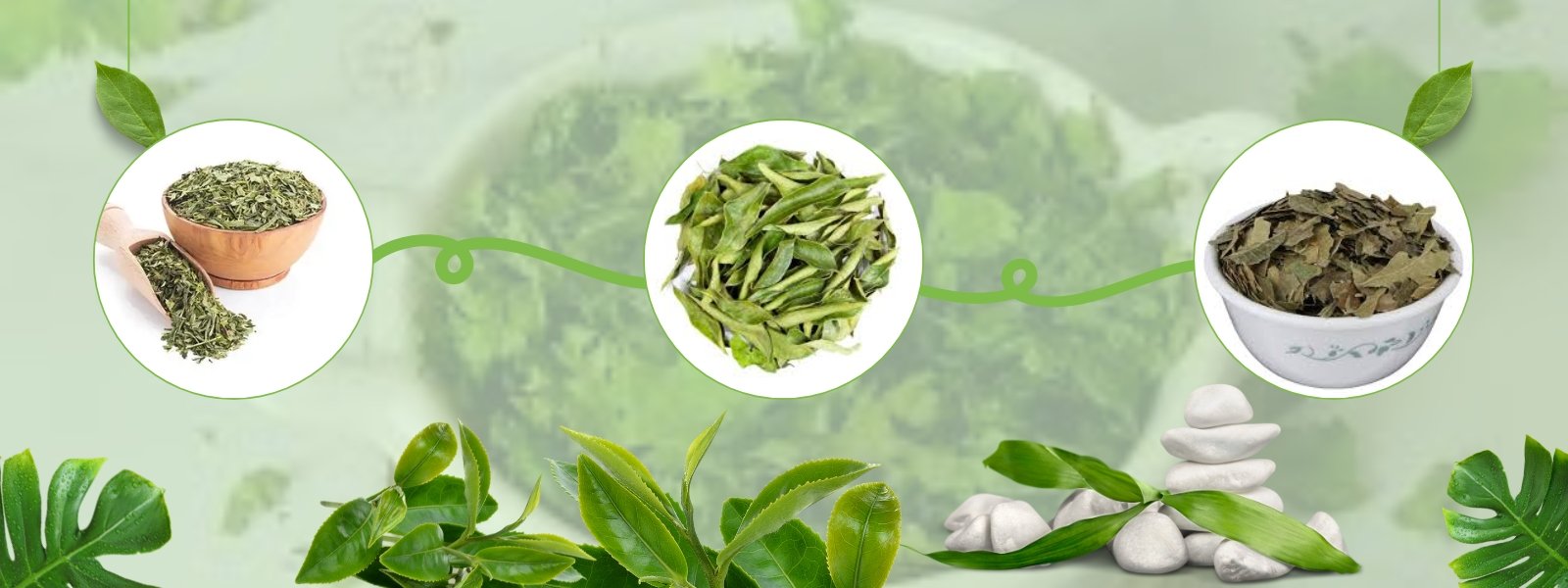 Dehydrated Leaves - header-01