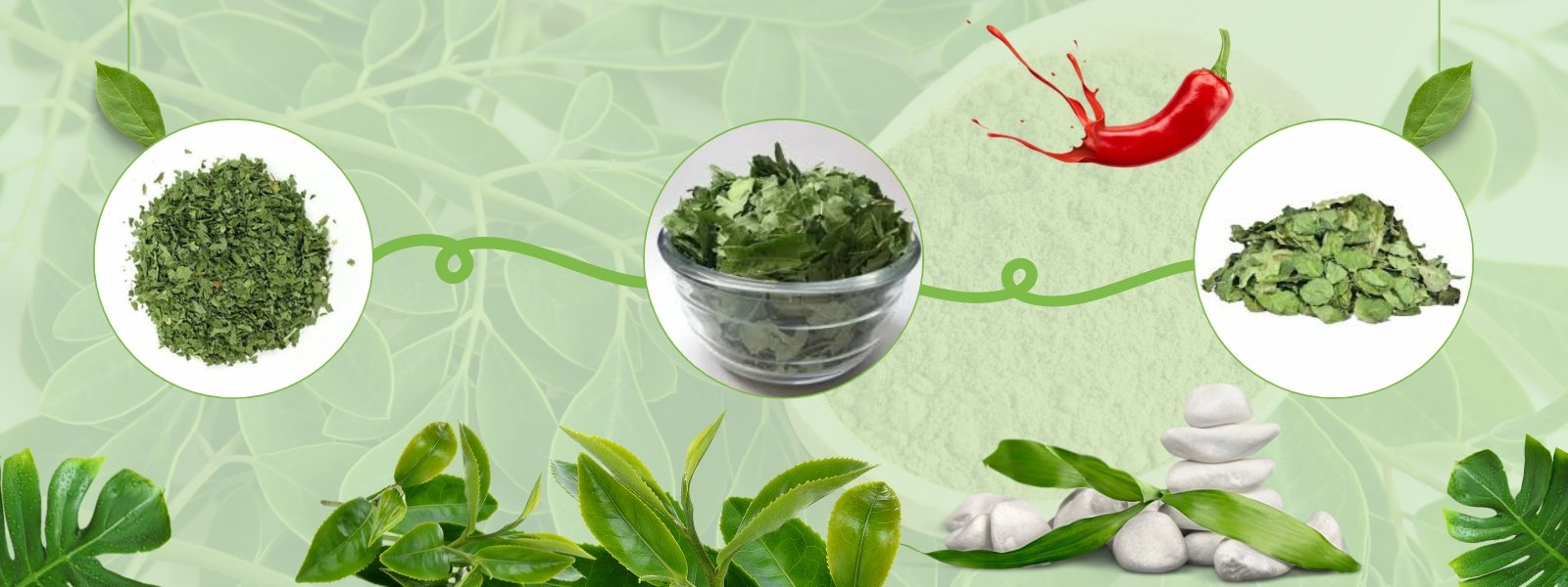 Dehydrated Leaves - header-02