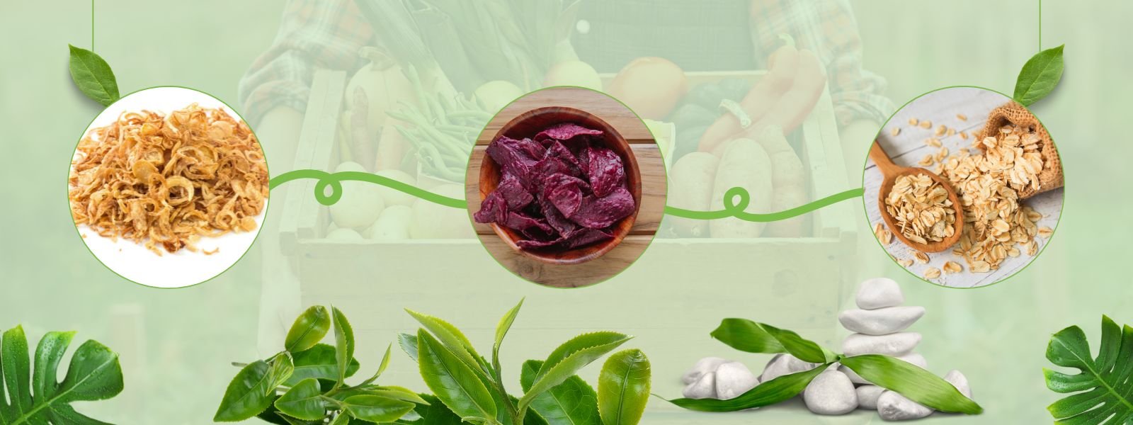 Dehydrated Vegetables Flakes - header-01