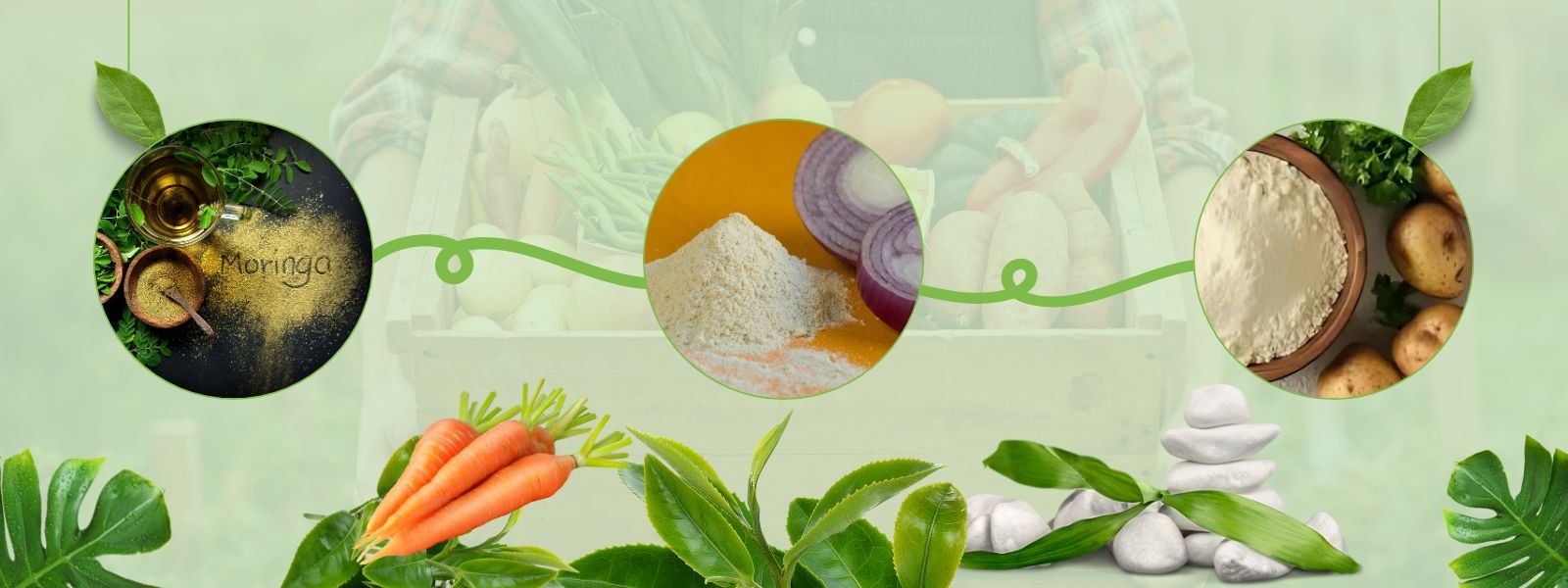 Dehydrated Vegetables Powder - header-002