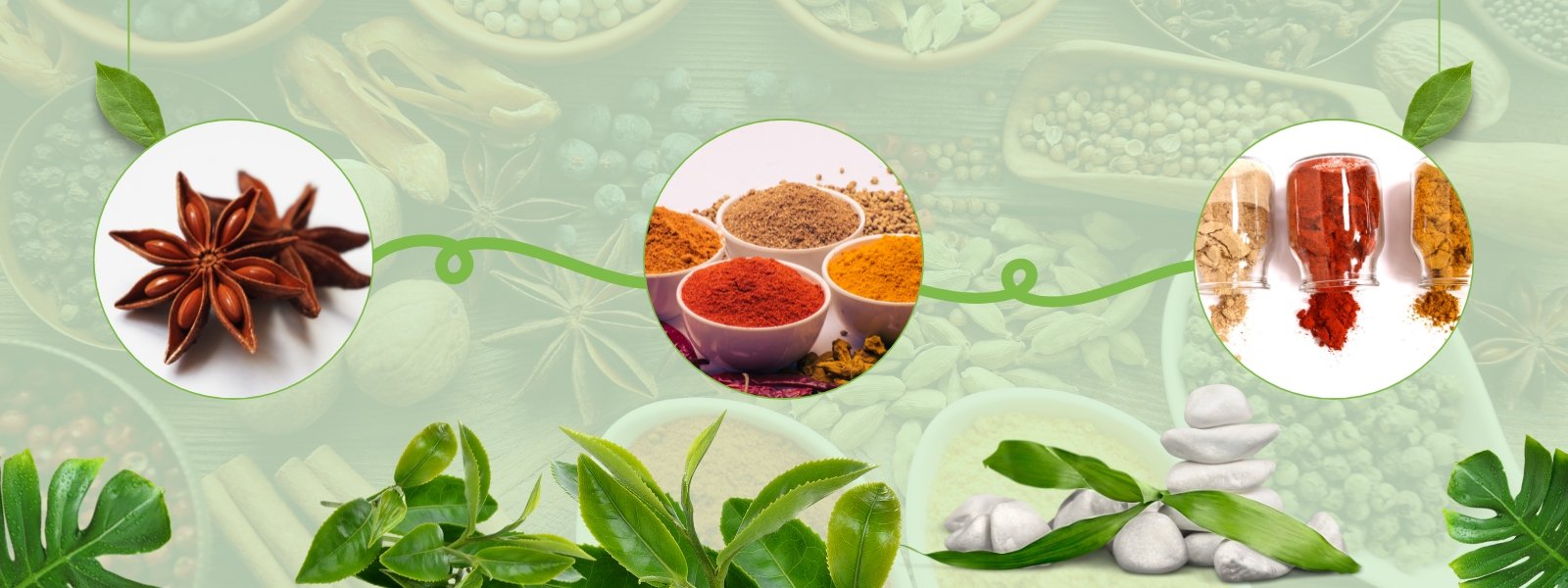 Spices - header-01